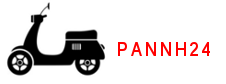 Pannh24 Logo